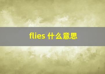 flies 什么意思